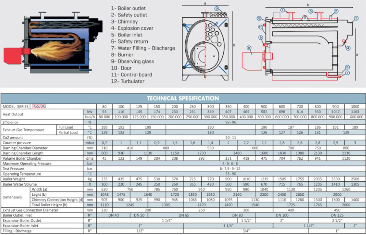 TGS Series Gas And Liquid Fuel Steel Boiler
